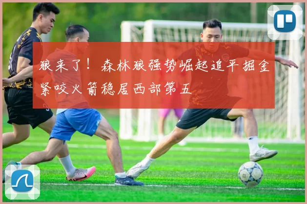 狼来了！森林狼强势崛起追平掘金紧咬火箭稳居西部第五